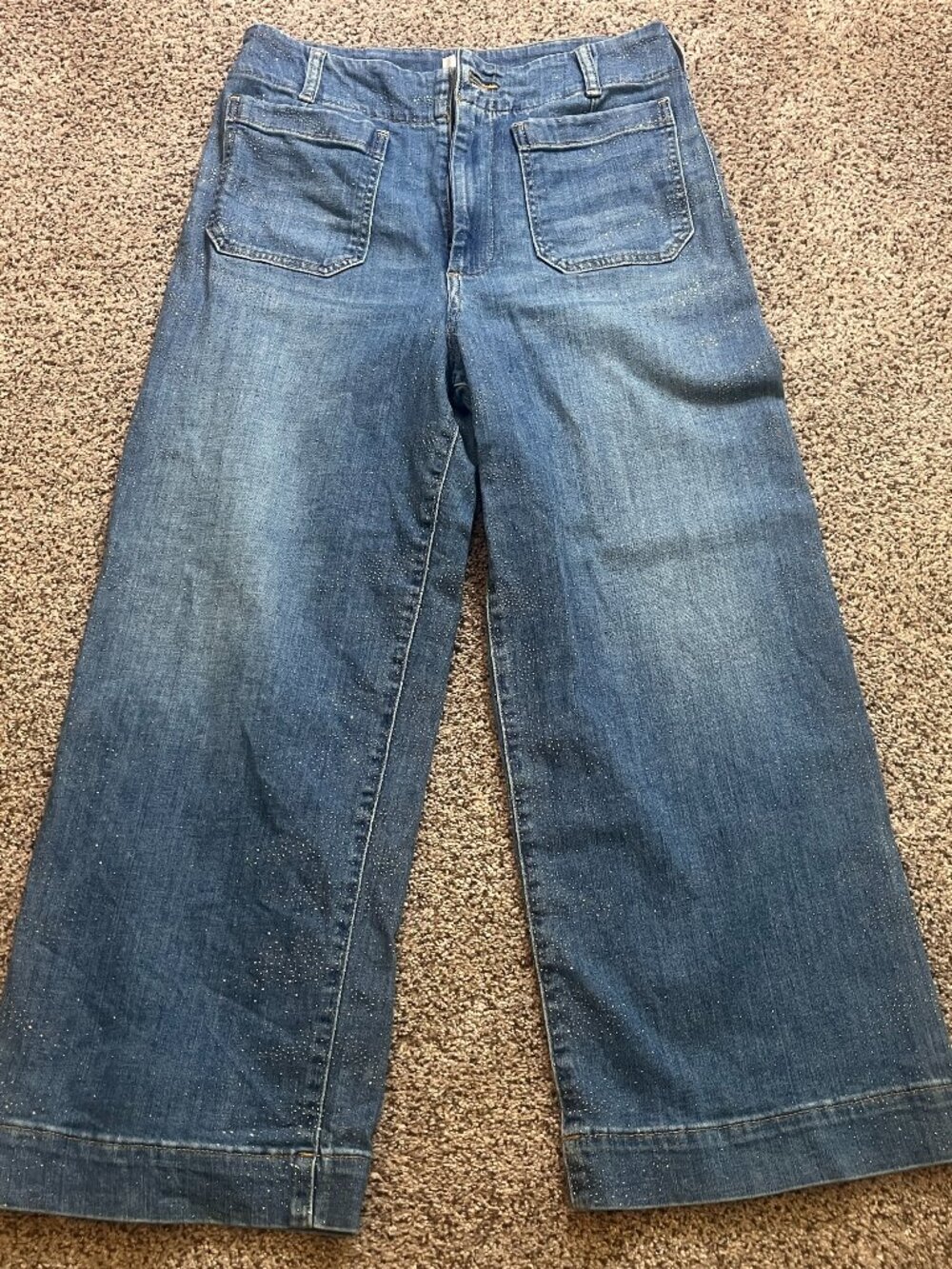 Anthropologie The Colette Sparkle Crop High-Rise Wide-Leg Jeans by Maeve Sz 30